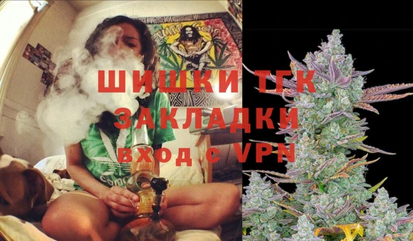 jwh Пересвет