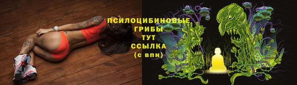 jwh Пересвет