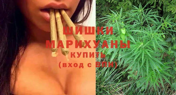 мдпв Пестово
