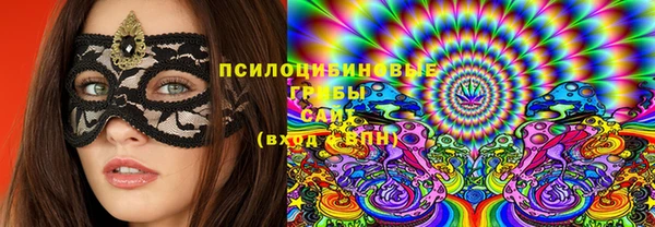 jwh Пересвет