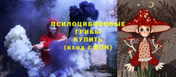 ГАЛЛЮЦИНОГЕННЫЕ ГРИБЫ Нягань