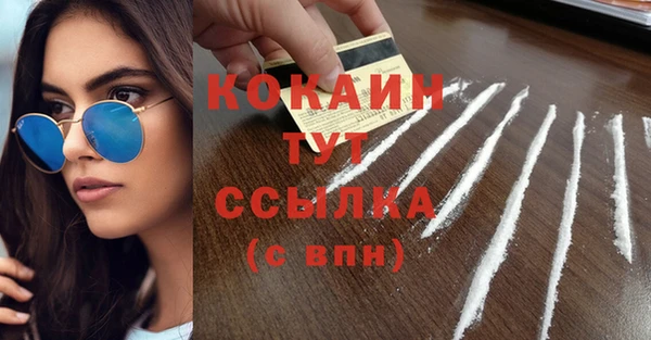 jwh Пересвет