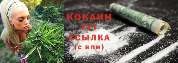 соль ск Осташков