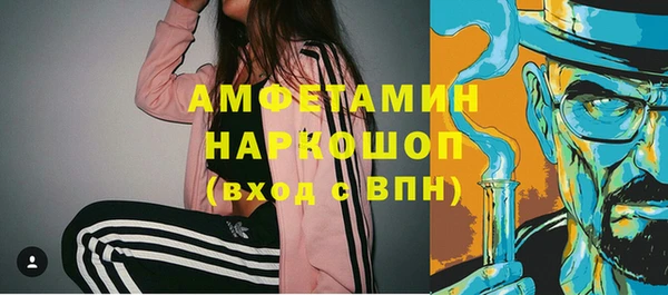 мдпв Пестово