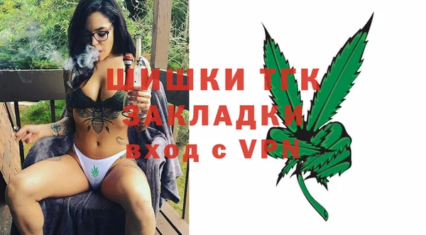 мдпв Пестово
