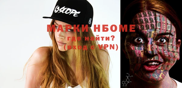мдпв Пестово