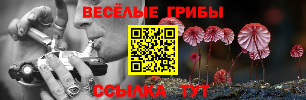 Галлюциногенные грибы Cubensis Сегежа